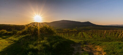 Historie - Pálava (V srdci Jižní Moravy).jpg