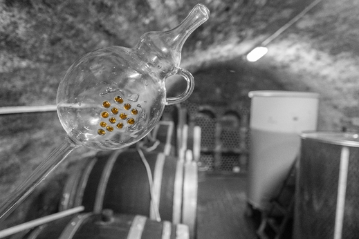 Sklípek - Rodinný vinný sklípek_3000x2000.jpg