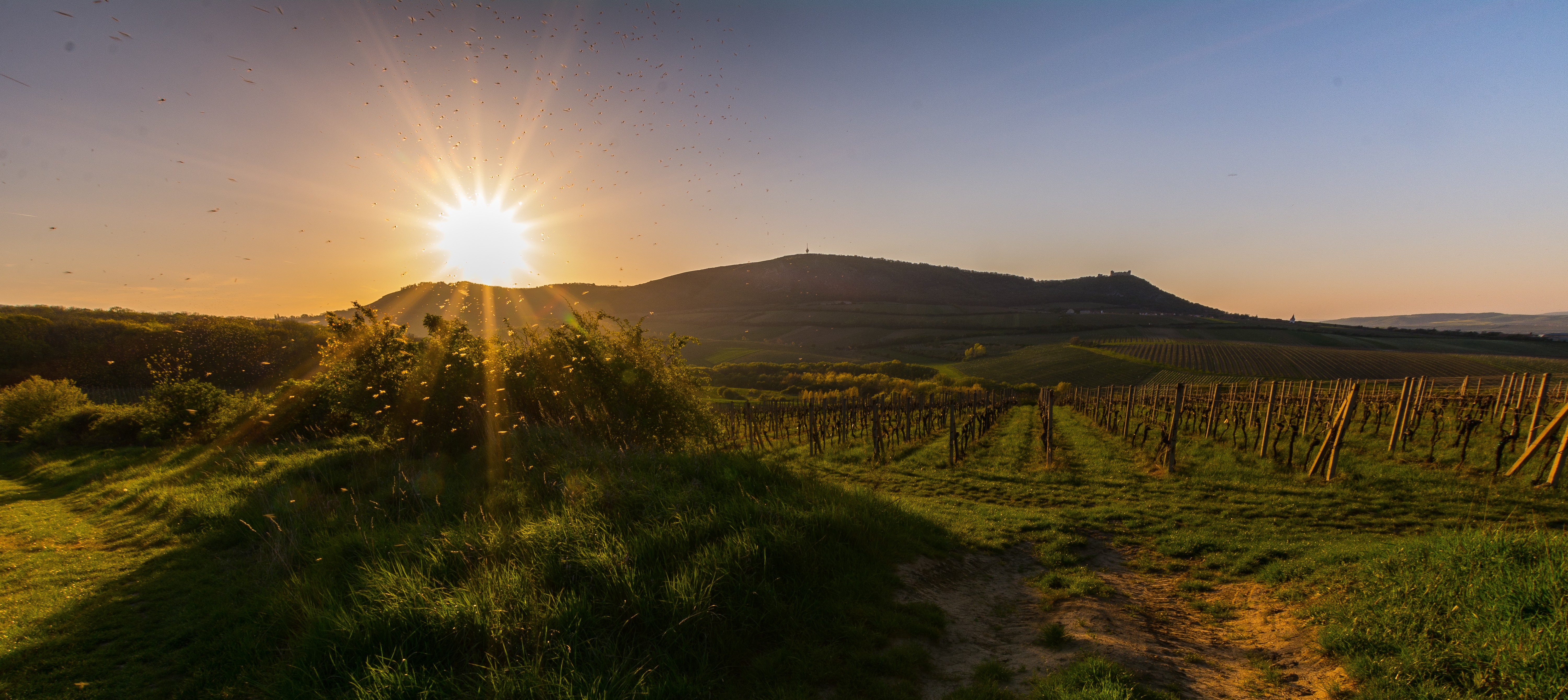 Historie - Pálava (V srdci Jižní Moravy).jpg